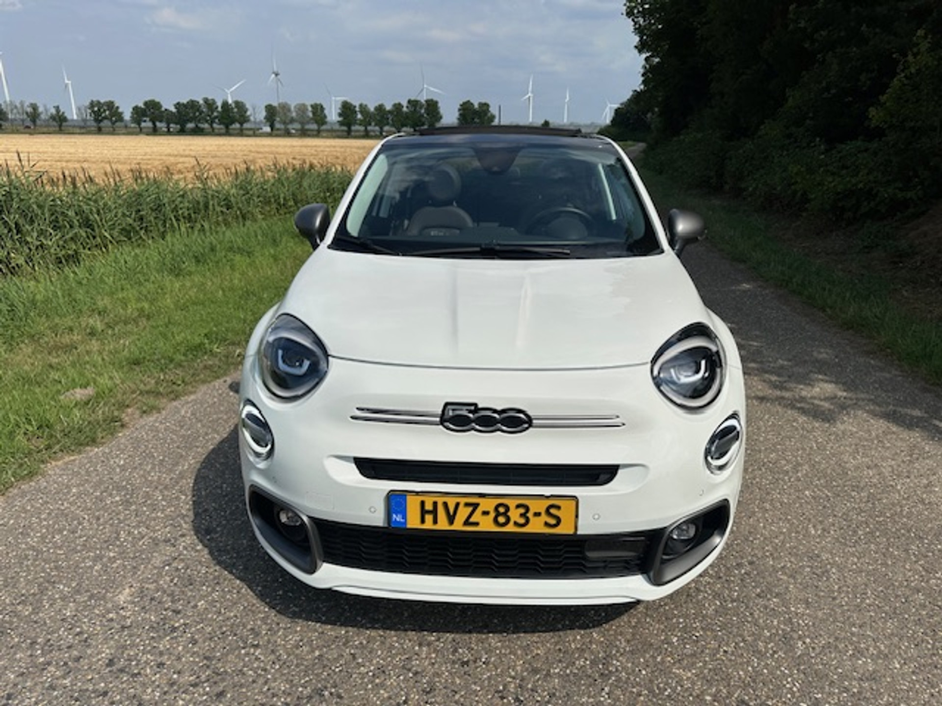 46478903-4.jpg