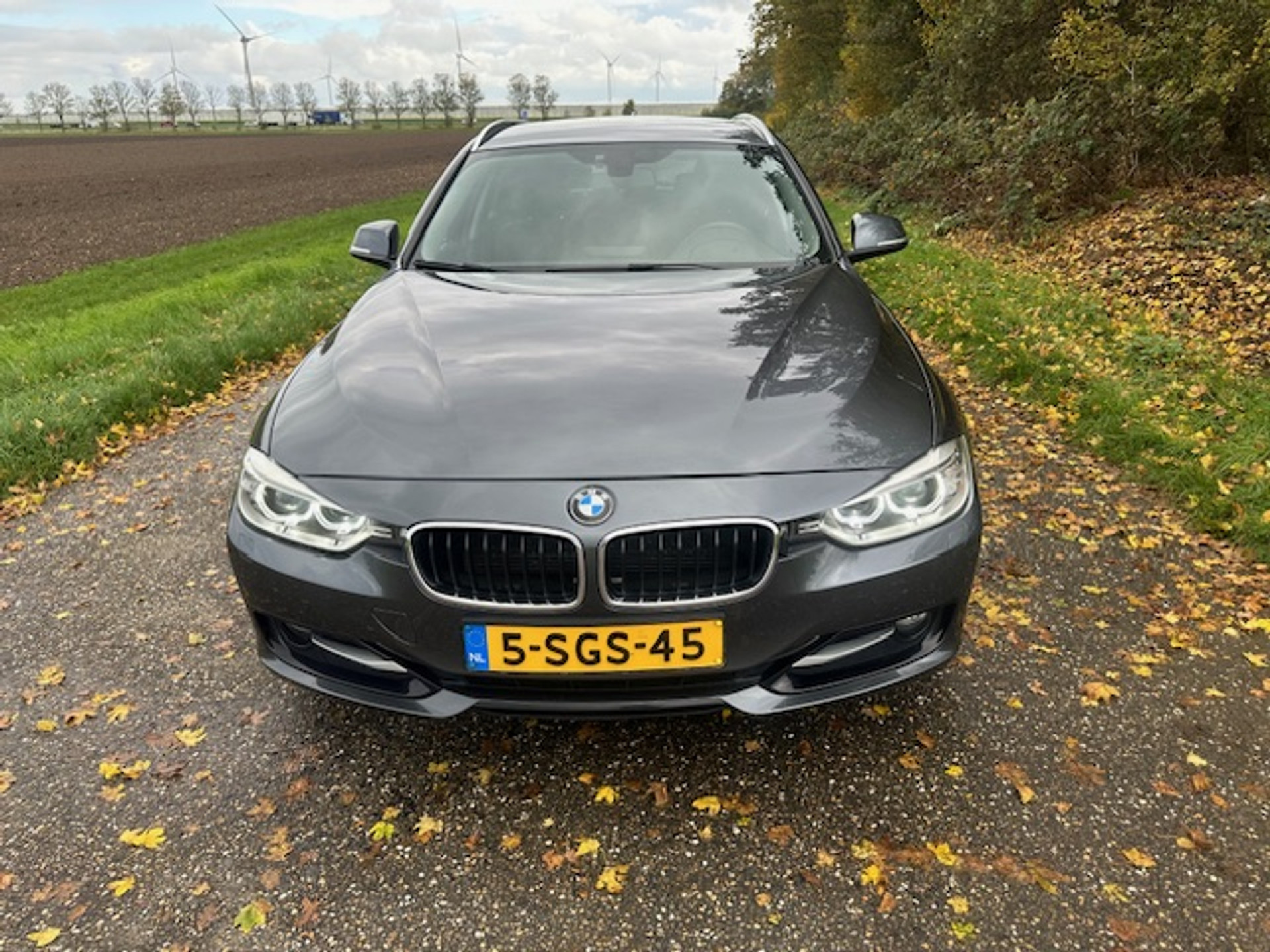48635822-4.jpg