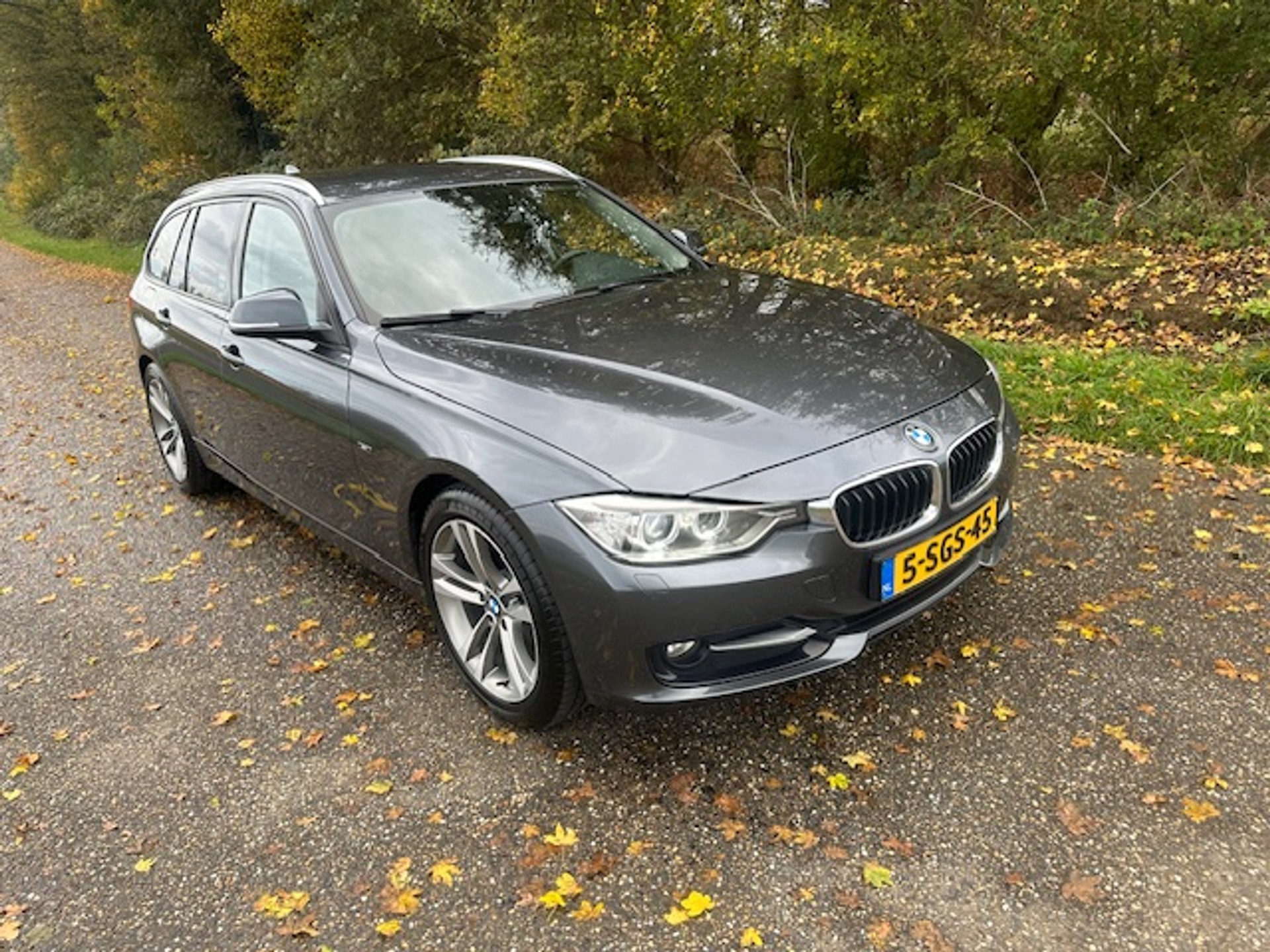 48635822-6.jpg