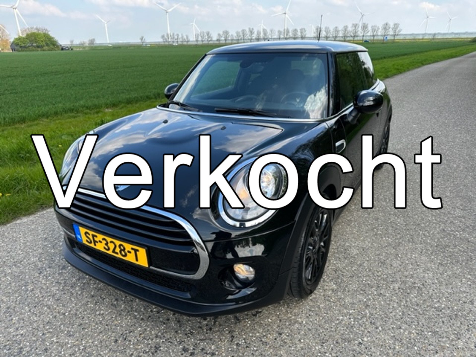 33931540